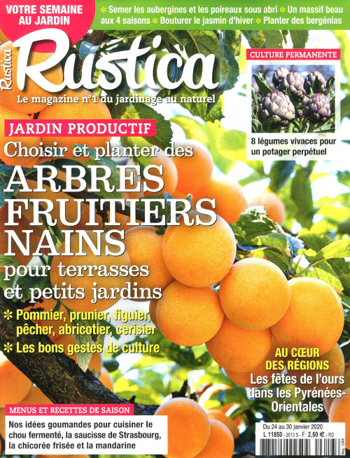 RUSTICA
