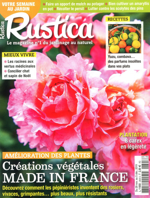 RUSTICA