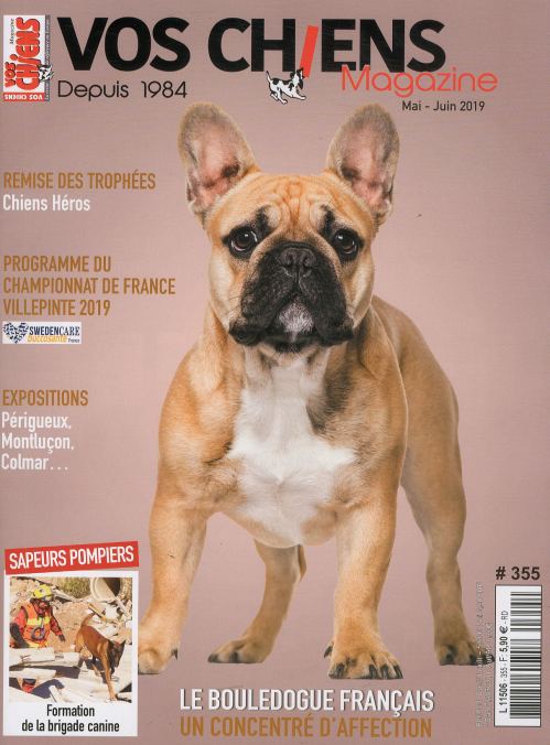 VOS CHIENS
