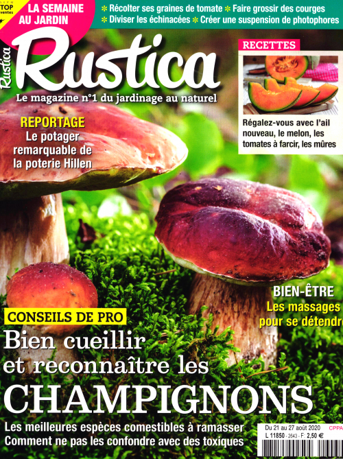 RUSTICA