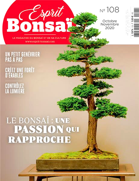 ESPRIT BONSAÏ