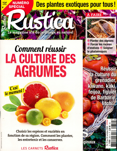 RUSTICA