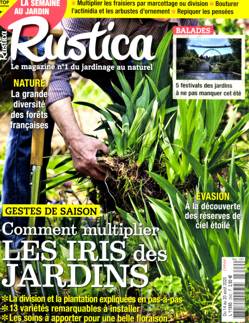 RUSTICA