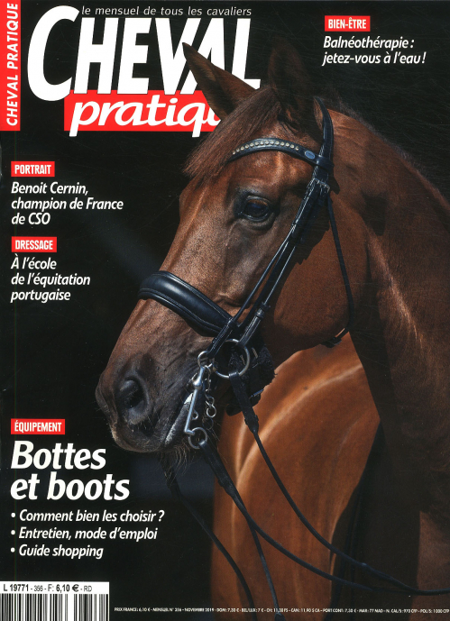 CHEVAL PRATIQUE