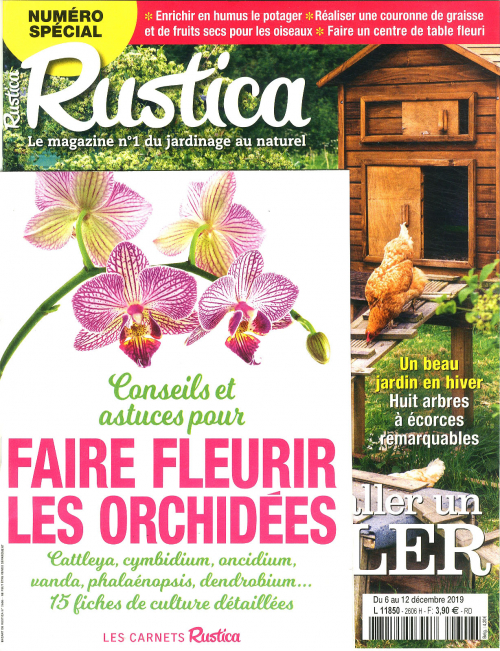 RUSTICA