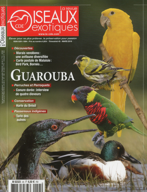 LA REVUE DES OISEAUX EXOTIQUES