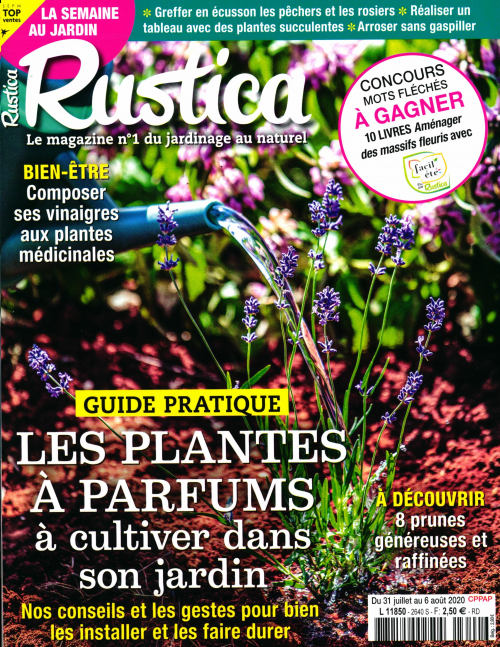 RUSTICA