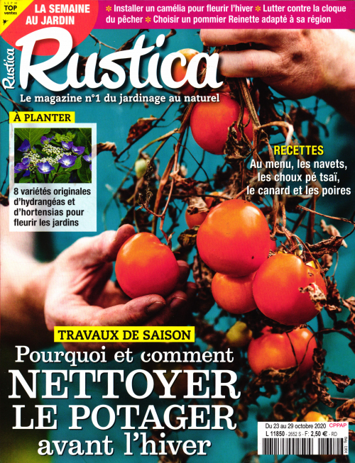 RUSTICA