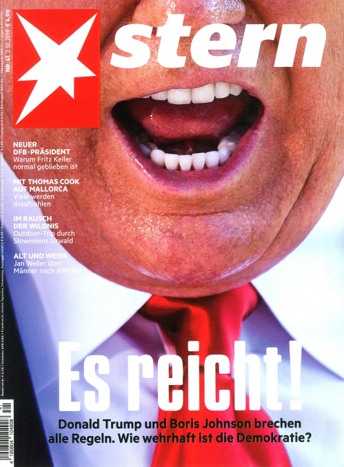 DER STERN (DEU)