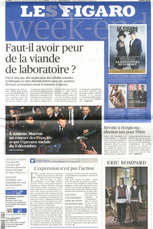 LE FIGARO WEEK END