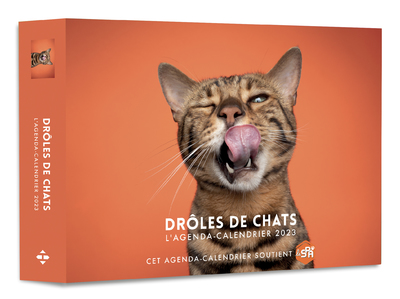 CALENDRIER LE CHAT 2023