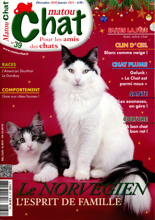MATOU CHAT