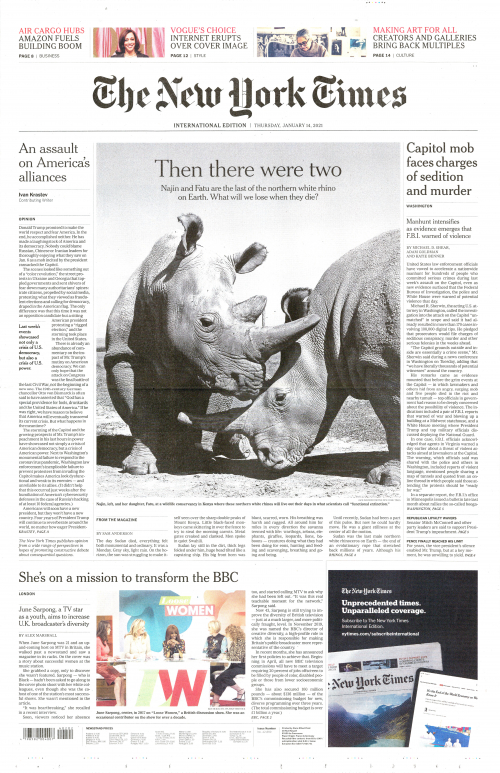INTERNATIONAL THE NEW YORK TIMES (EX- INTERNATIONAL HERALD TRIBUNE)