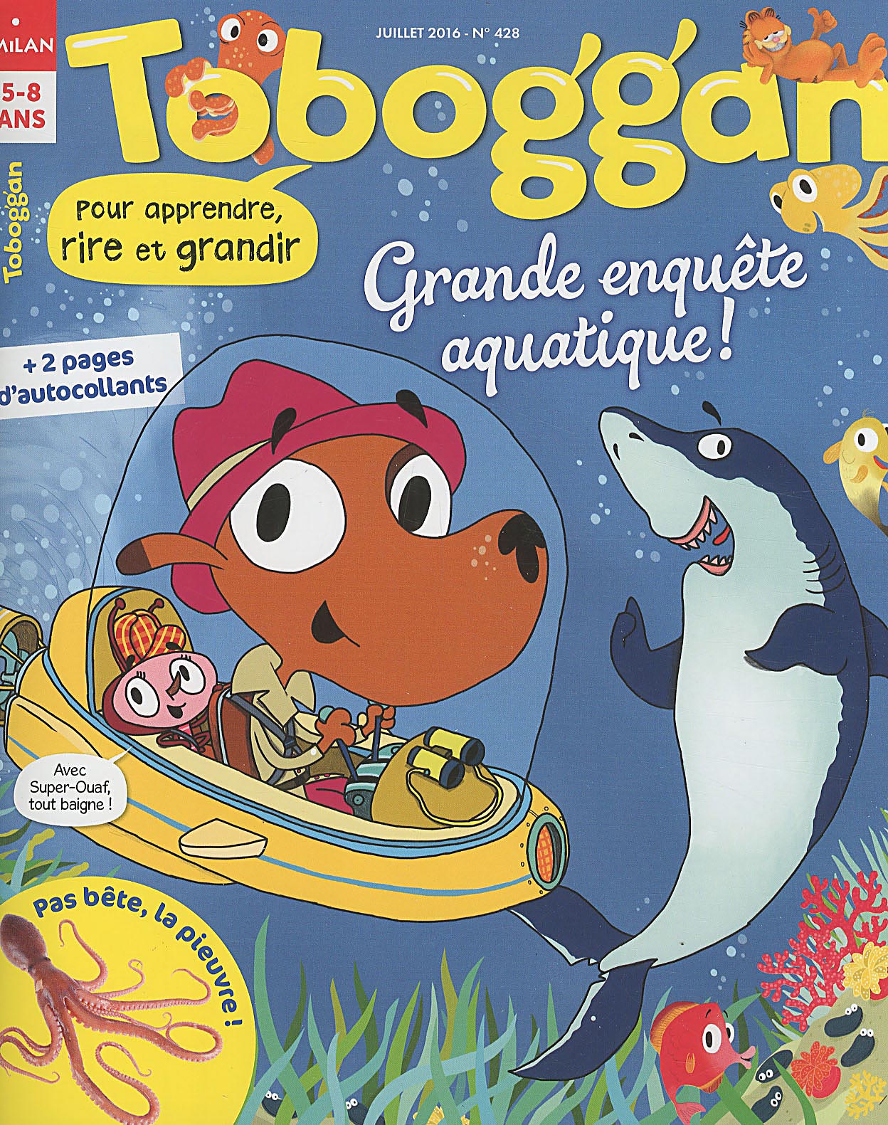 couverture de : Toboggan