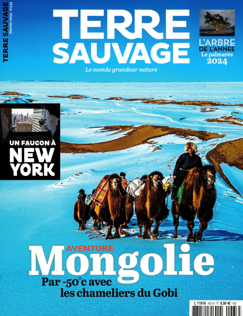 Terre sauvage 433 (01/02/2025) : Mongolie