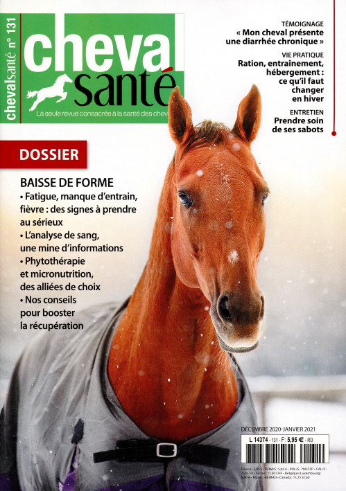 CHEVAL SANTÉ