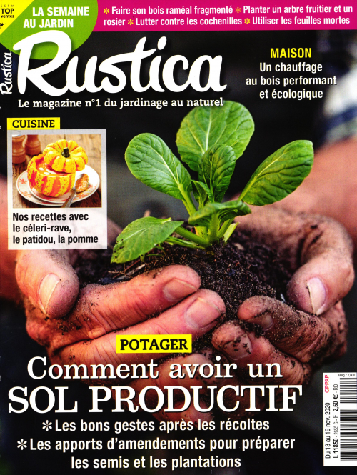 RUSTICA