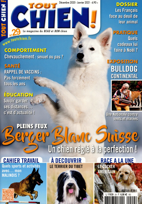 TOUT CHIEN!