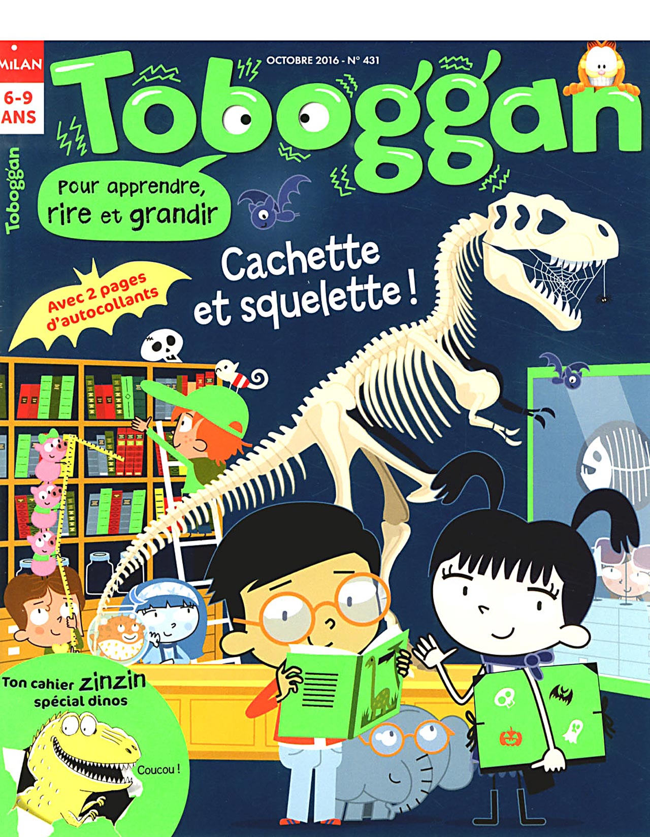 couverture de : Toboggan
