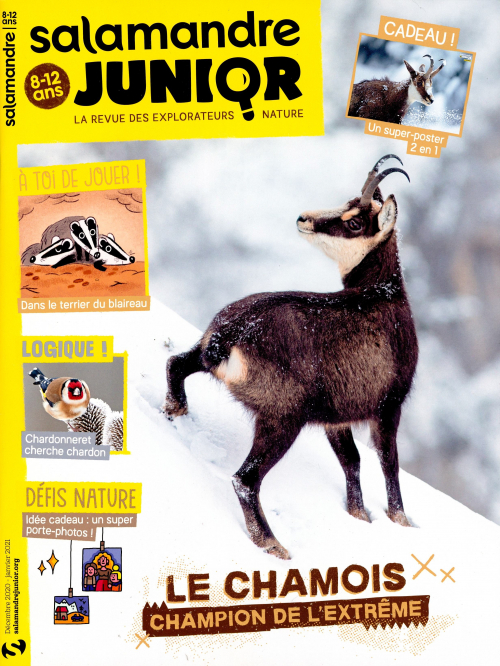 LA SALAMANDRE JUNIOR