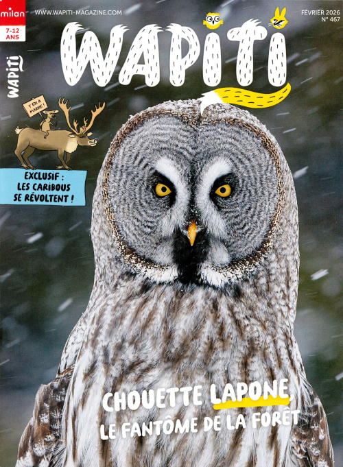 couverture de : Wapiti