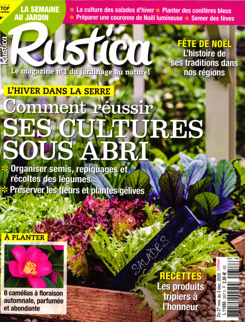 RUSTICA