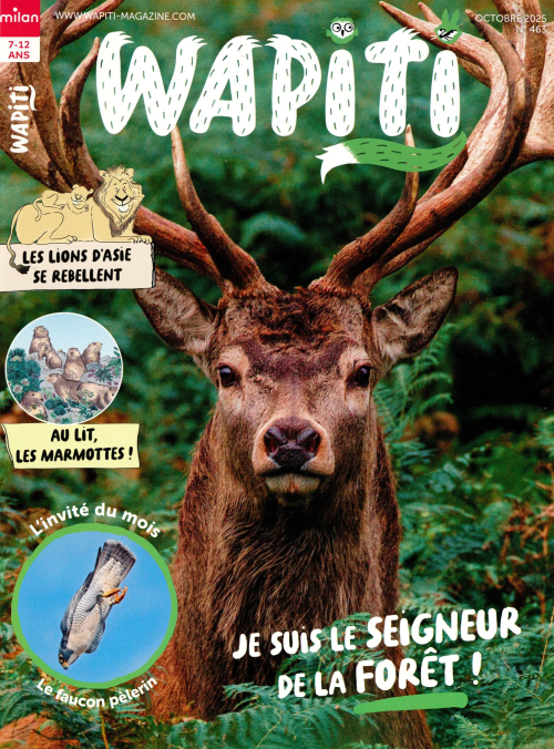 couverture de : Wapiti