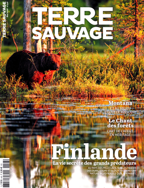 couverture de : Terre sauvage