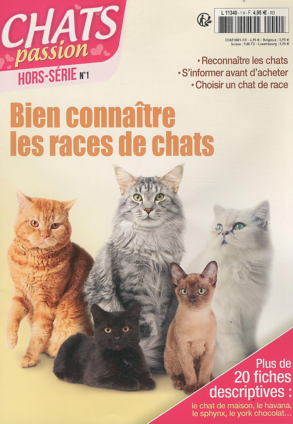 CHATS PASSION HS