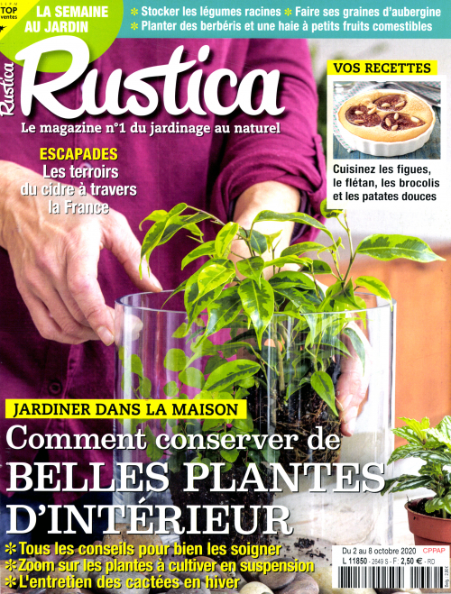 RUSTICA